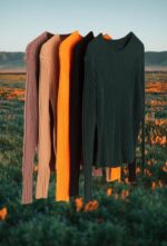 Img 0375 768x1133 1 2.jpg